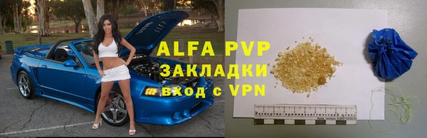 бошки Корсаков