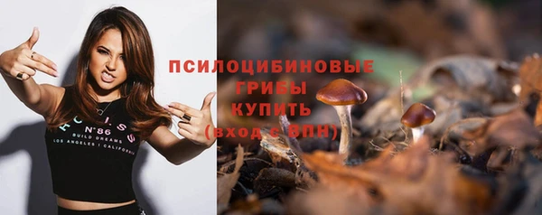 Альфа ПВП Коряжма