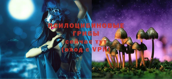 бошки Корсаков
