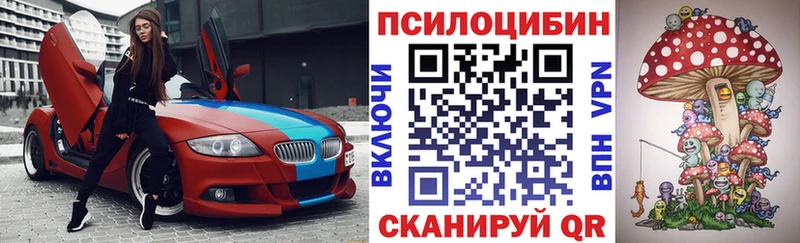 Купить закладки  Калач  Псилоцибиновые грибы прущие грибы 
